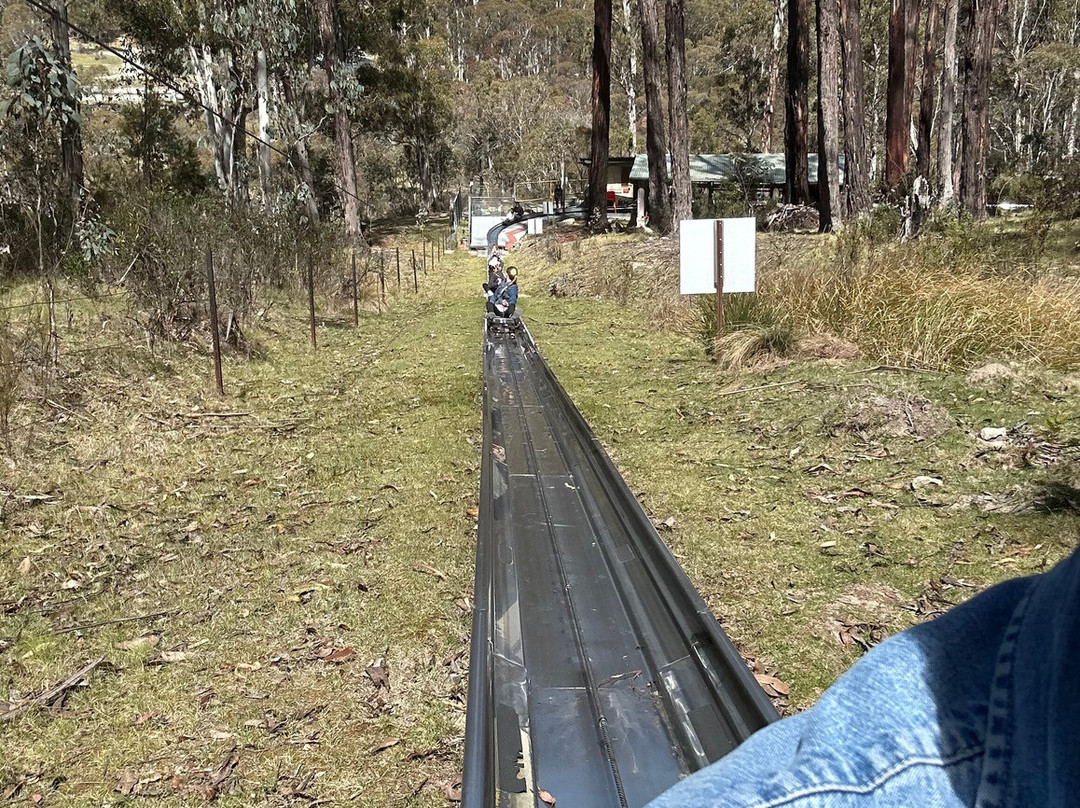 Corin Forest-Paddys River必去景点