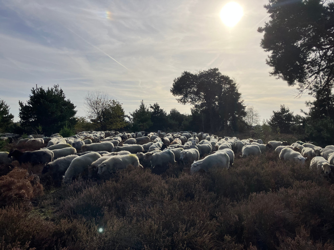 Strijdom landschapsbeheer