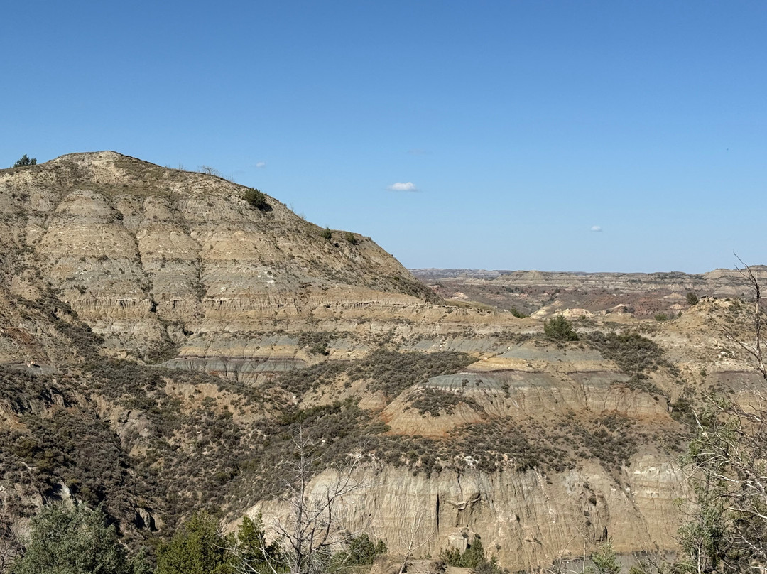 Elkhorn Ranch Site-Theodore Roosevelt National Park必去景点
