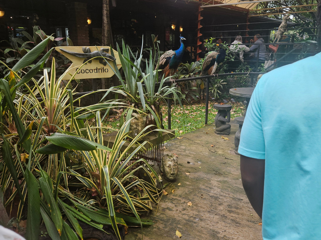 Rescate Wildlife Rescue Center-阿拉辉拉必去景点
