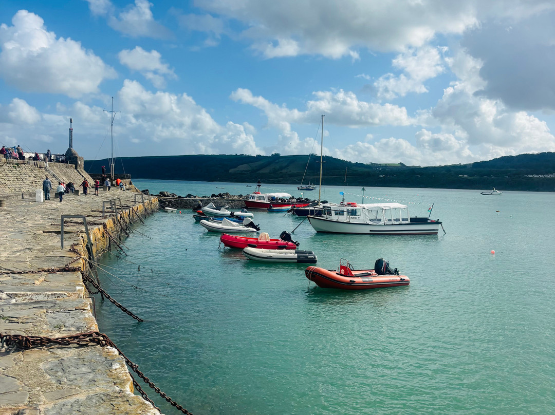 Dolphin Spotting Boat Trips (by New Quay Boat Trips)-纽基必去景点