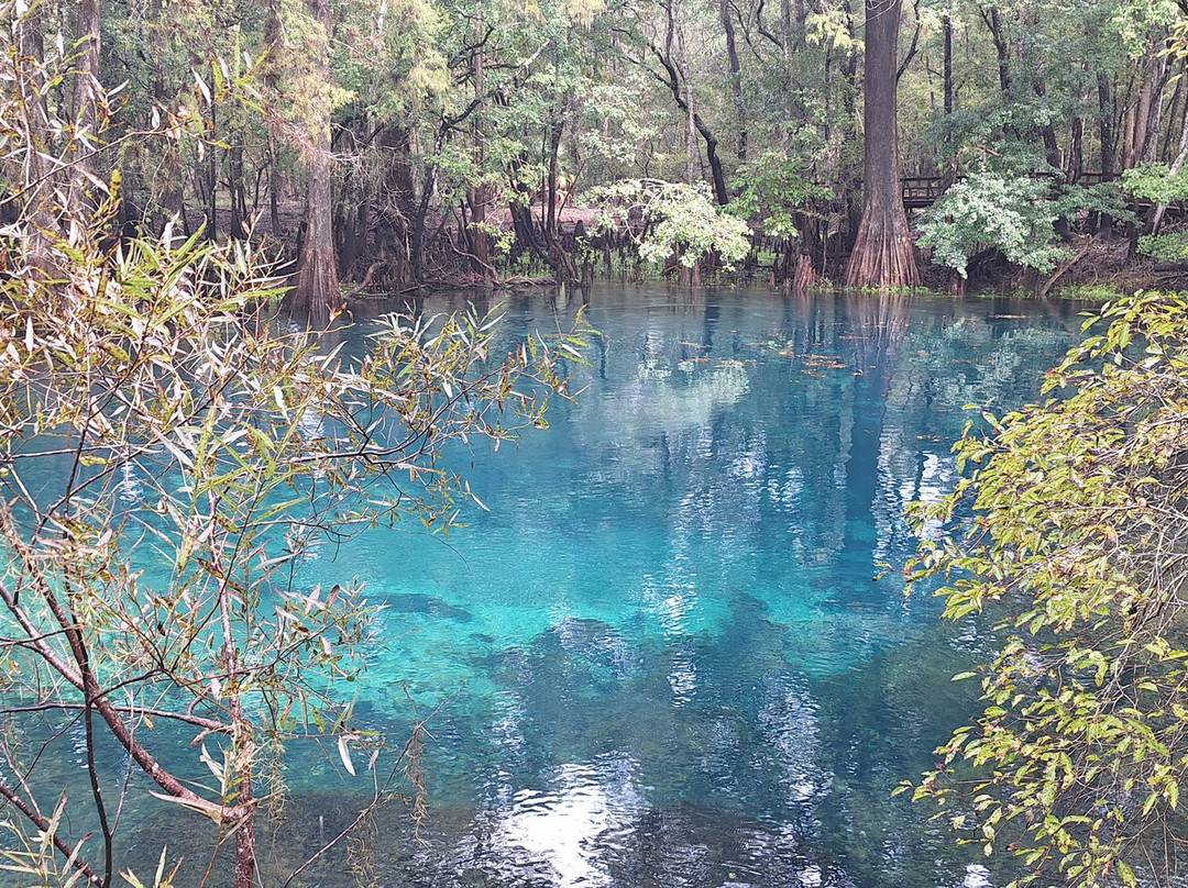 Manatee Springs State Park-Chiefland必去景点