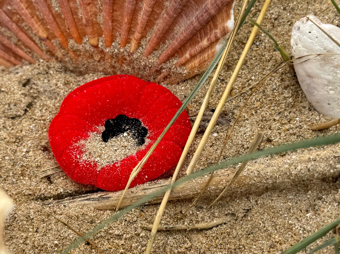 Juno Beach Centre-Courseulles-sur-Mer必去景点