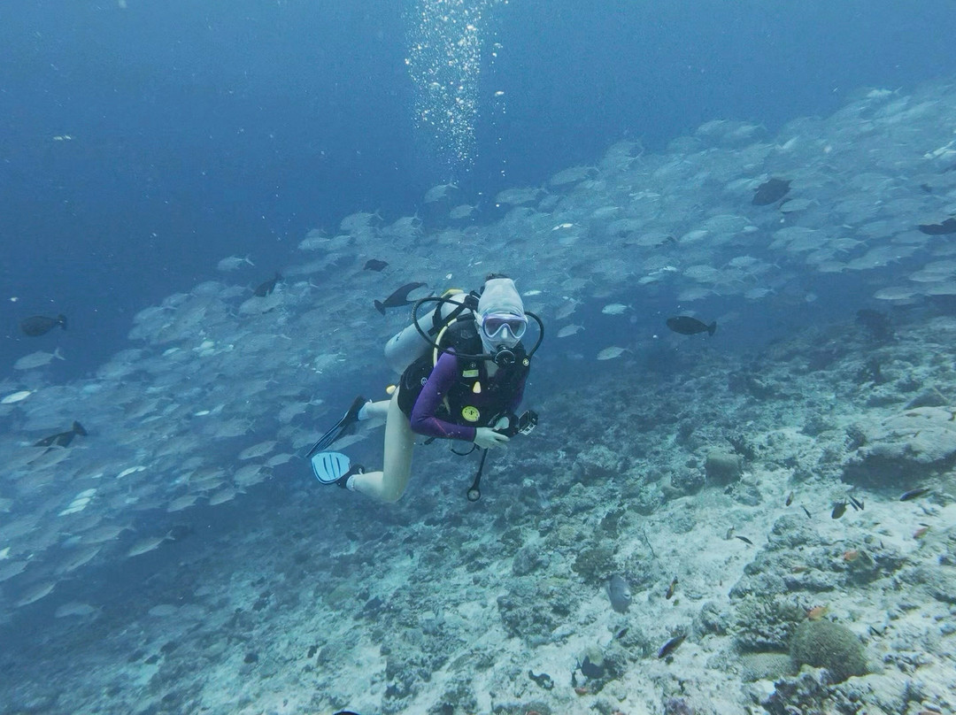 Ocean Dive & Watersports Rasdhoo-拉斯胡必去景点