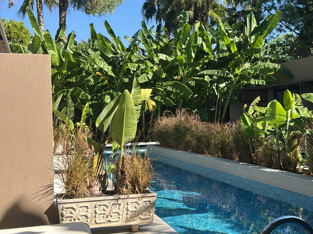 Balmy Beach Resort Kemer Beach-凯梅尔必去景点