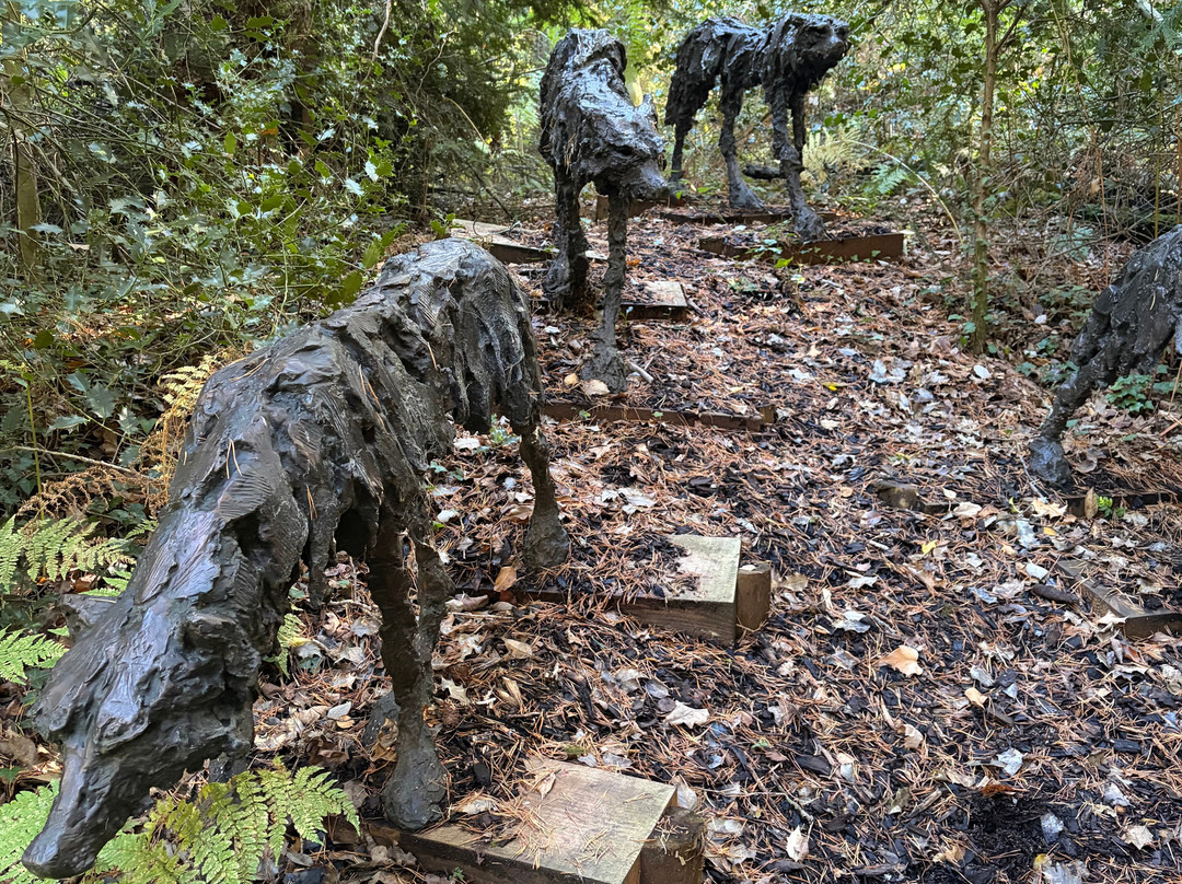 The Sculpture Park-Churt必去景点