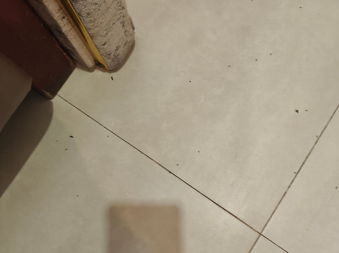 东泻湖酒店主图