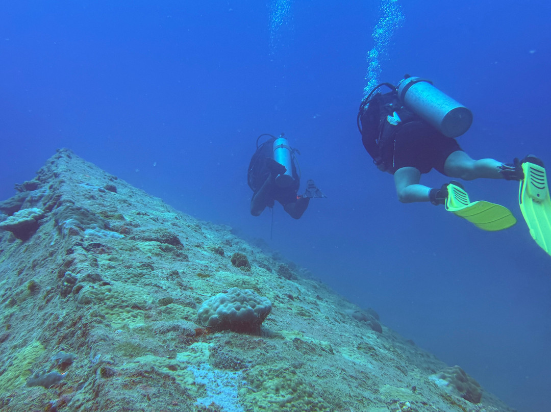Big Blue Scuba Diving-维拉港必去景点