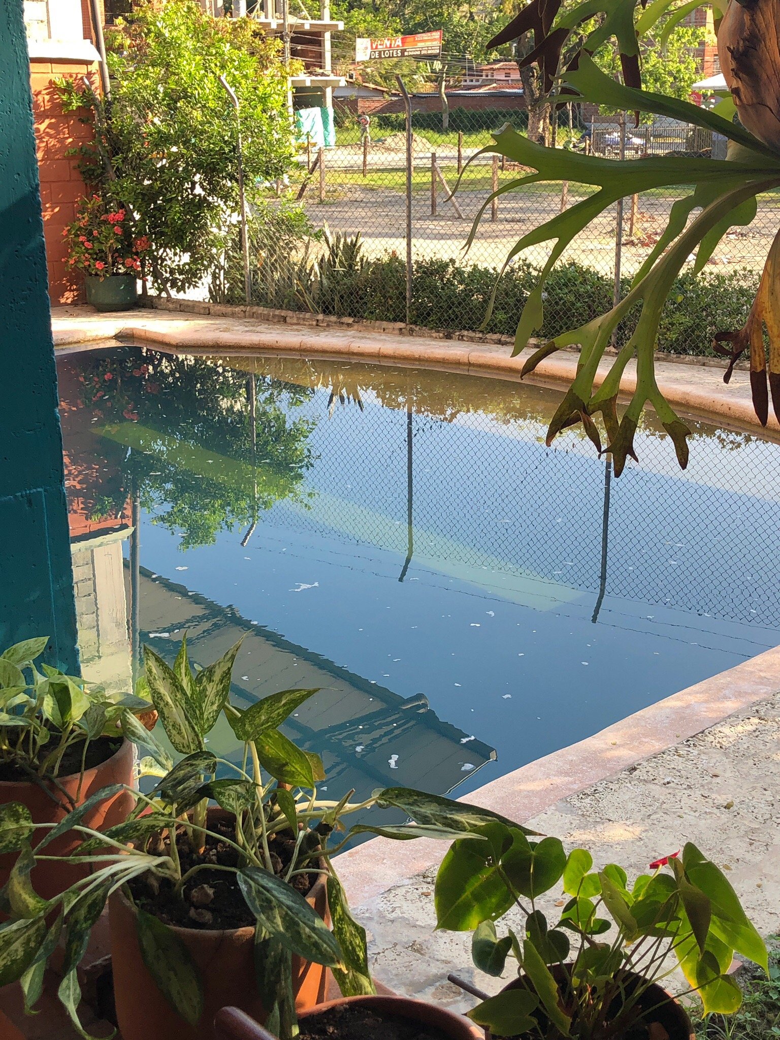 Hotel Calamaru-官方