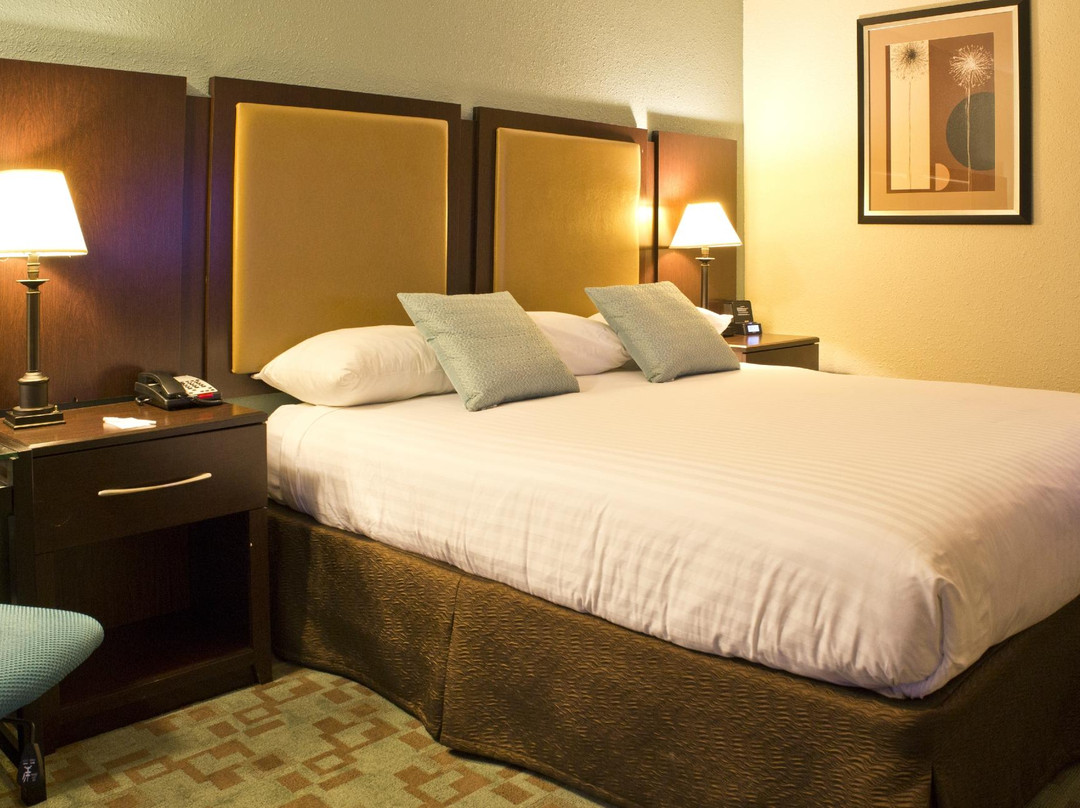 山景城酒店住宿-福尔酒店