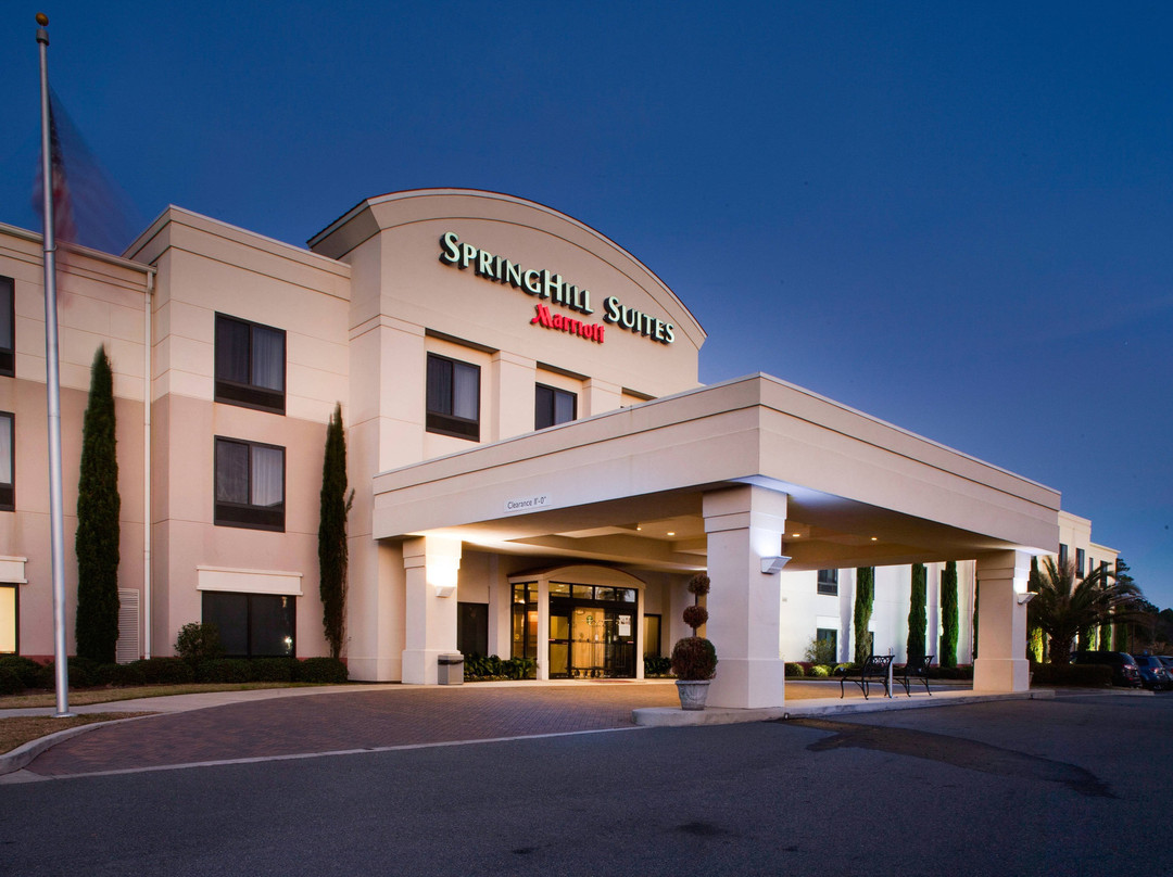 SpringHill Suites by Marriott Savannah I-95 South主图
