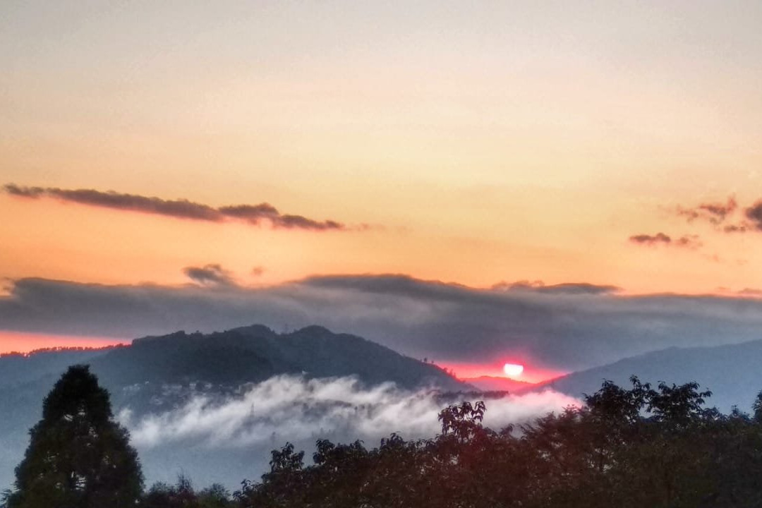 Silverpine Homestay