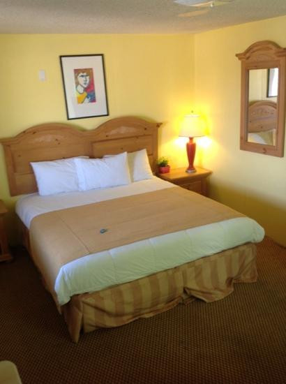 二十九棕榈村酒店住宿-9 Palms Inn