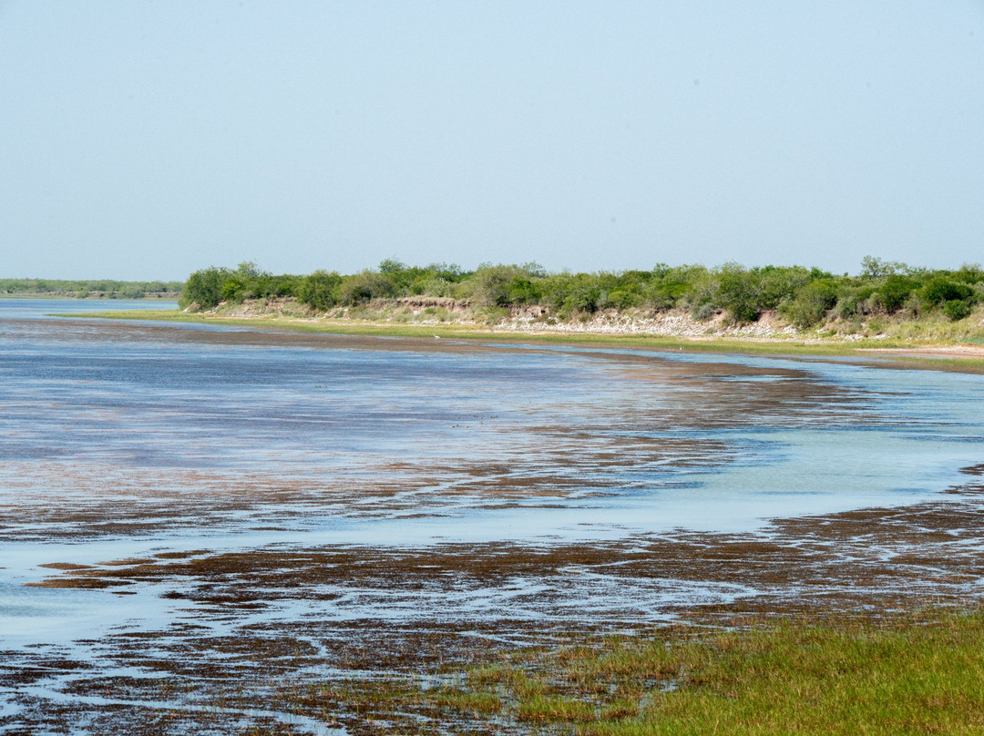 Bayview旅游景点-Laguna Atascosa National Wildlife Refuge