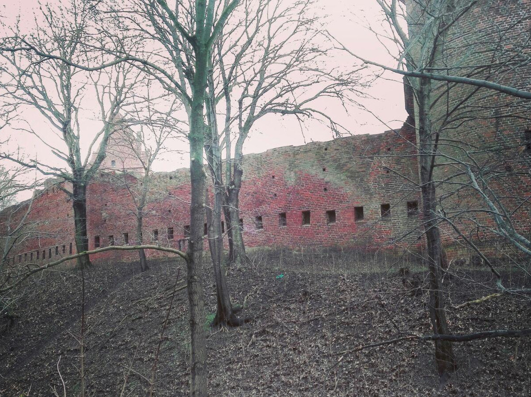 Burg Tangermünde景点图片