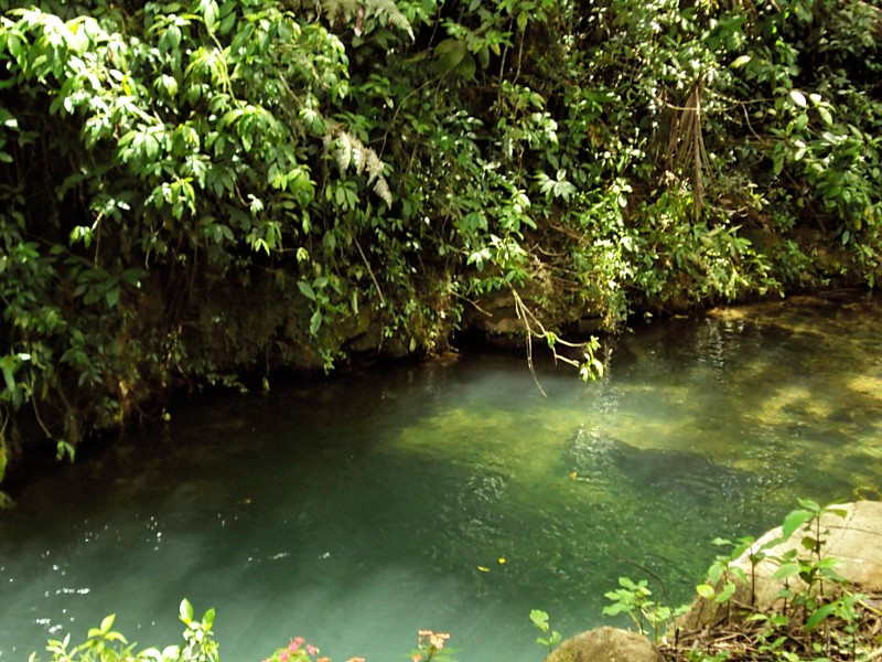 Toro Negro State Forest-波多黎各必去景点