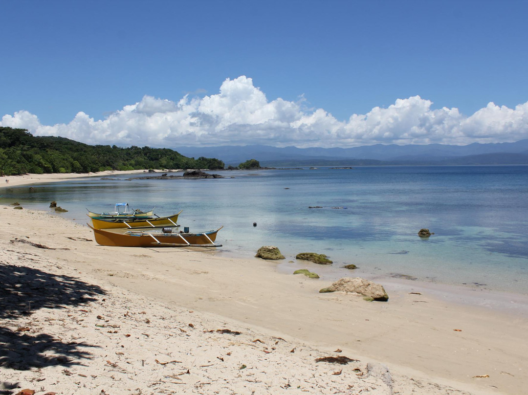 Dicotcotan Beach-Palanan必去景点