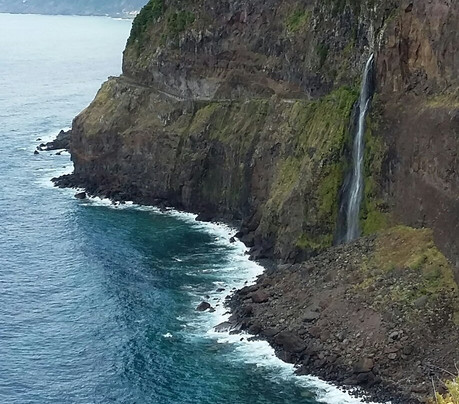 Flora Travel Madeira - Day Tours & Walks