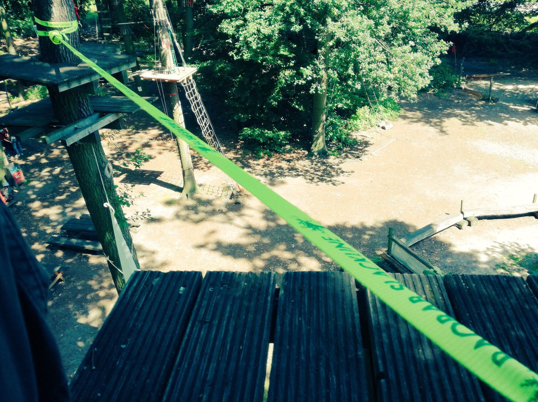 monkeyman-沃尔夫斯堡必去景点