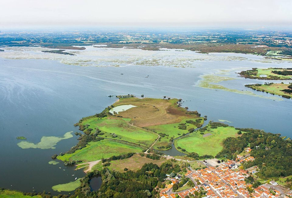 Lac de Grand Lieu, Port d'été et Port d'hiver景点图片