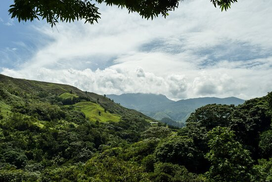 Bosque El Descanso景点图片