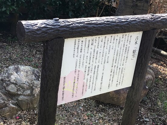 Saishoji Temple-越生町必去景点