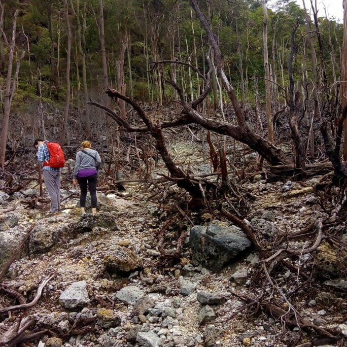 Halimun Salak National Park-茂物必去景点