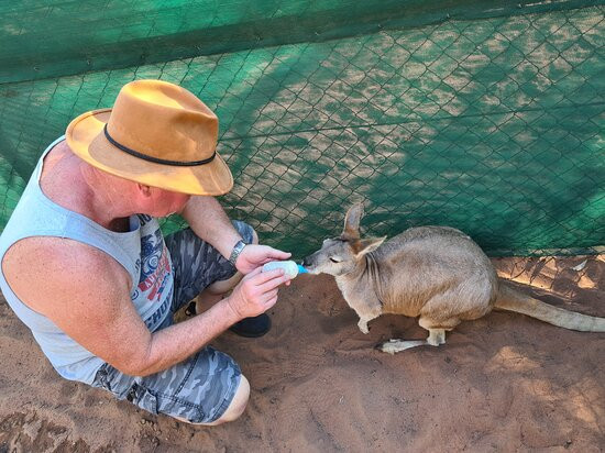 Kangaroo Haven景点图片