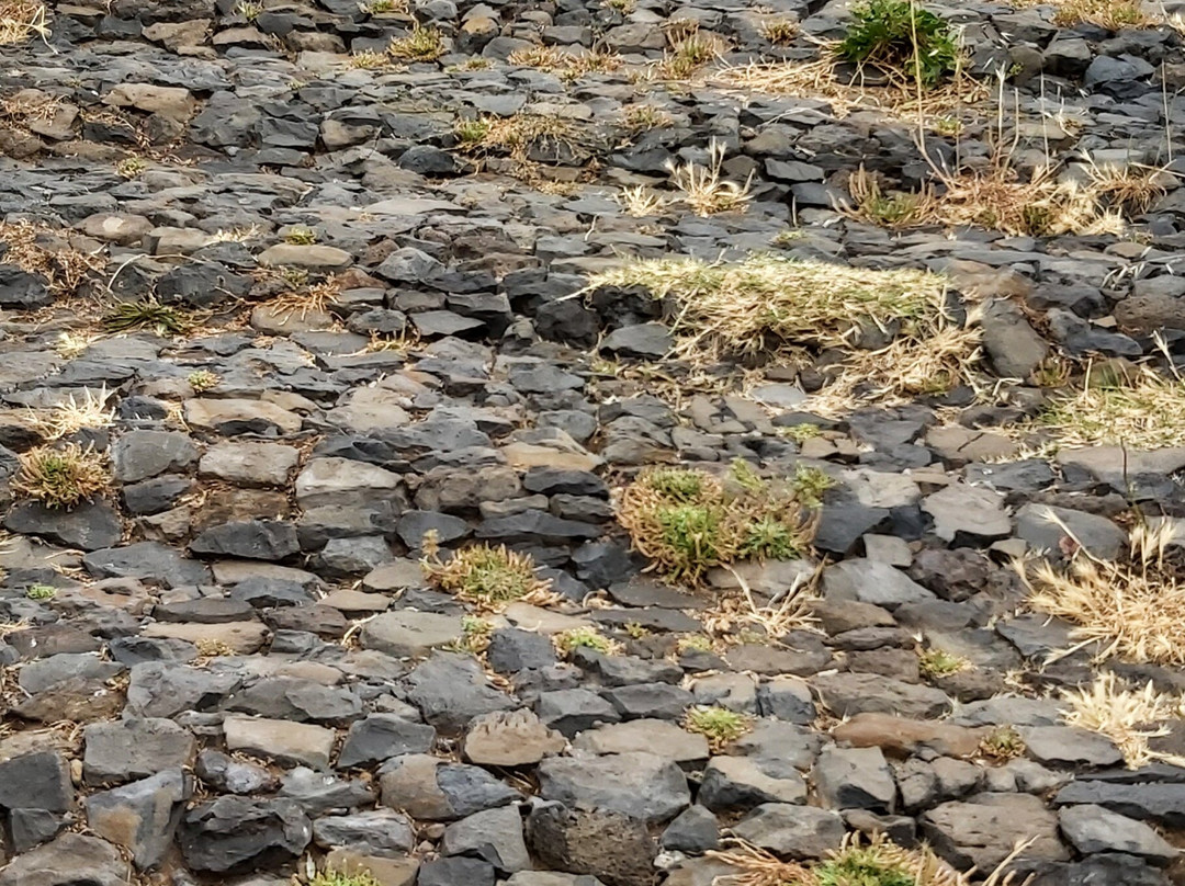 Garajau Partial Nature Reserve