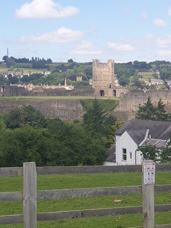 Holly Hill Inn主图