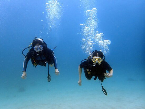 Destination Diving And Snorkel Maui-拉海纳必去景点