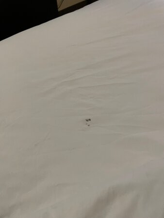 Quality Inn Brewerton - Syracuse Oneida Lake Area主图