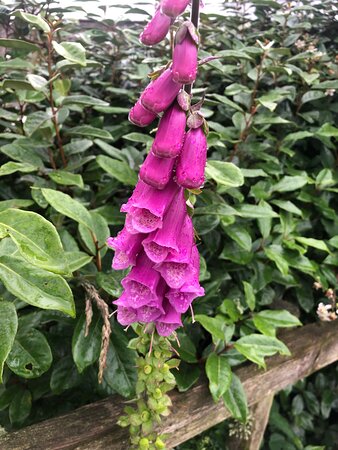 Kilworthy Farm Guesthouse-官方