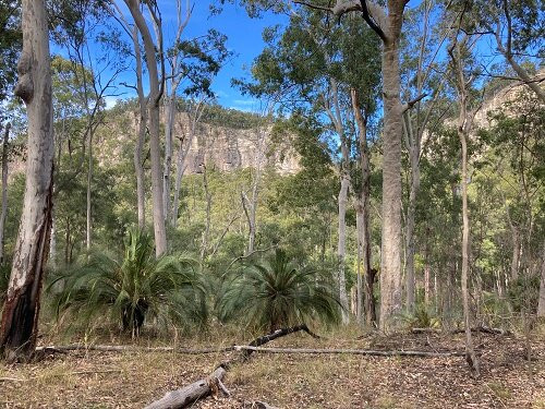 Main Gorge Walking Track