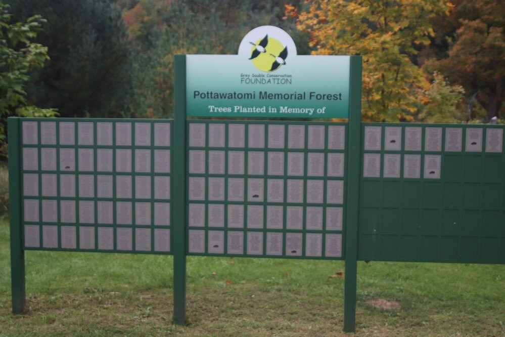 Pattawatomi Memorial Forest-Owen Sound必去景点