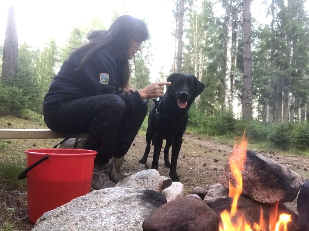 The Old Logging Camp