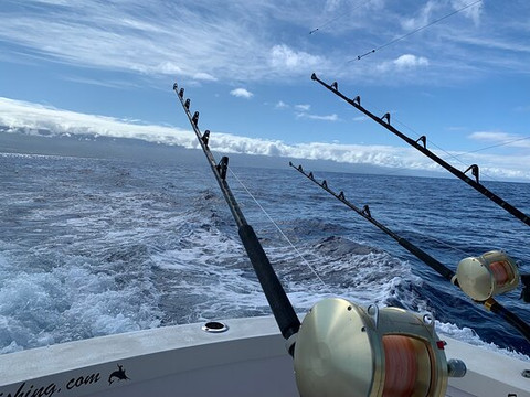 Kona Cowboy Sport Fishing-凯鲁瓦-柯纳必去景点