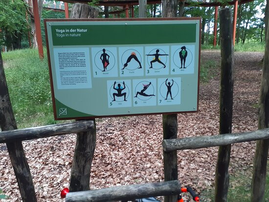 Nationales Naturmonument Ivenacker Eichen景点图片