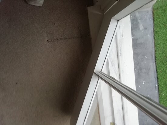 Cedar House Boutique B&B主图