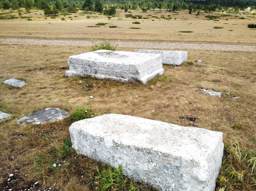 Dugo Polje, Blidinje Stecak Necropolis景点图片