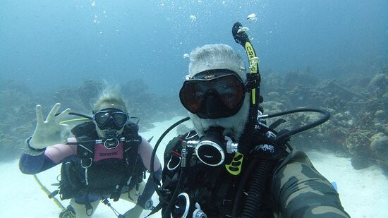 Flamingo Diving Bonaire-Belnem必去景点
