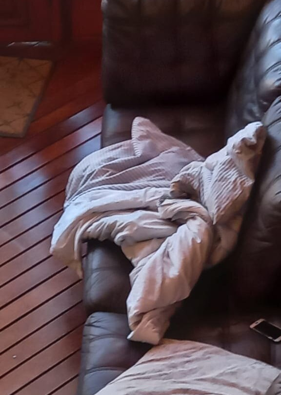 Travetel Or Tambo Airport Hotel