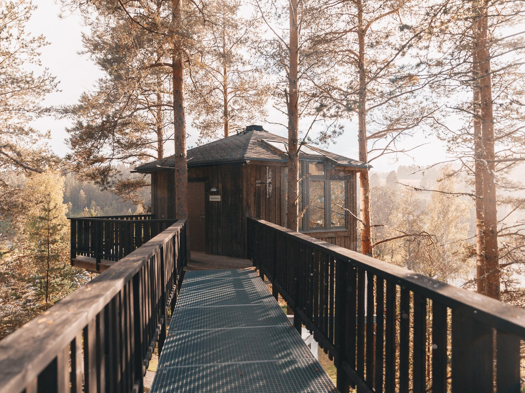 Granö Beckasin