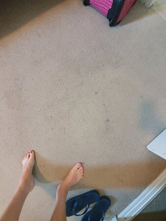 帕威里恩1770酒店主图