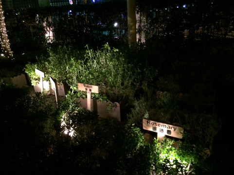 Garden restaurant主图