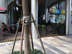 Gallery 1