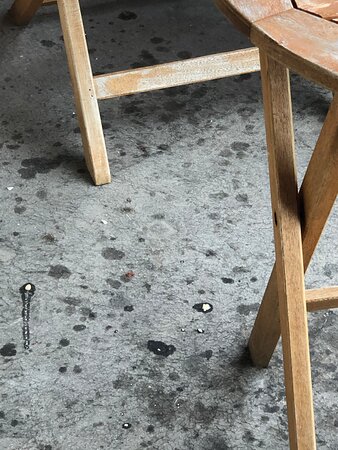 克里夫蒙特酒店-客卧