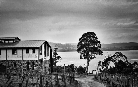 Marion's Vineyard-Deviot必去景点