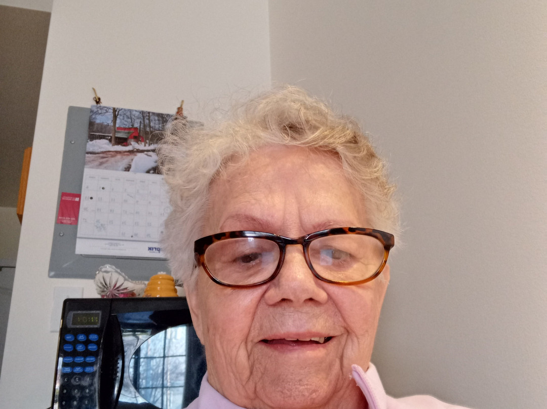 Le Petit Theatre du Nord