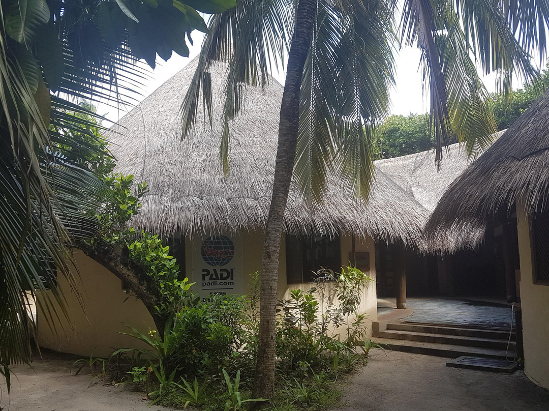 Dive Ocean Dhuni Kolhu